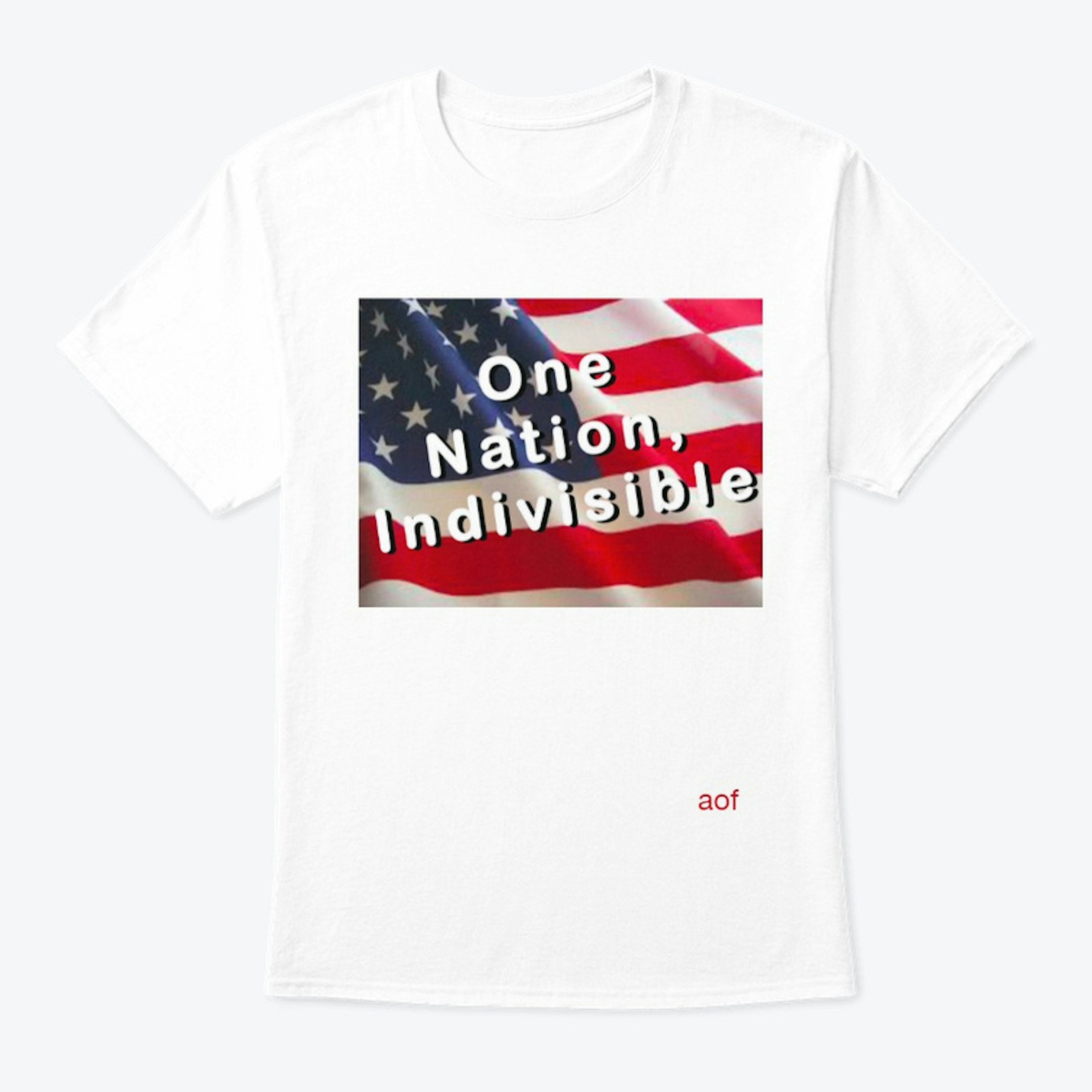 One Nation Indivisible